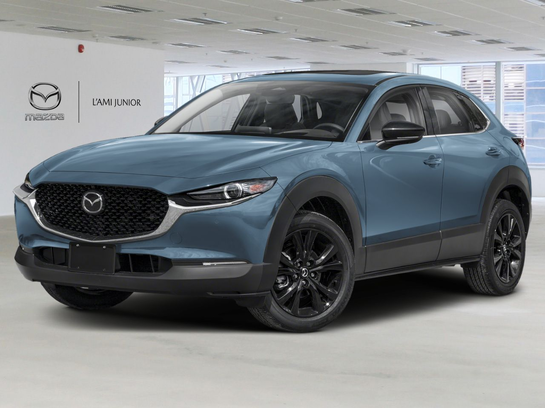 Mazda CX-30 2025 2025 Gris polymétal métallisé