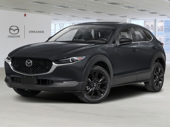 2025 Mazda CX-30 2025 Jet Black Mica 2025 Mazda CX-30 2025 Jet Black Mica