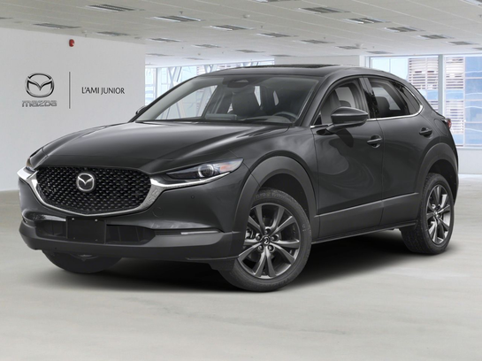 2025 Mazda CX-30 2025 Machine Grey Metallic 2025 Mazda CX-30 2025 Machine Grey Metallic